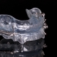 ortodontik-apareyler